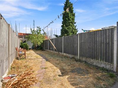 Picture 7